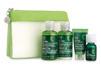 The Body Shop Tea Tree&nbsp;Range