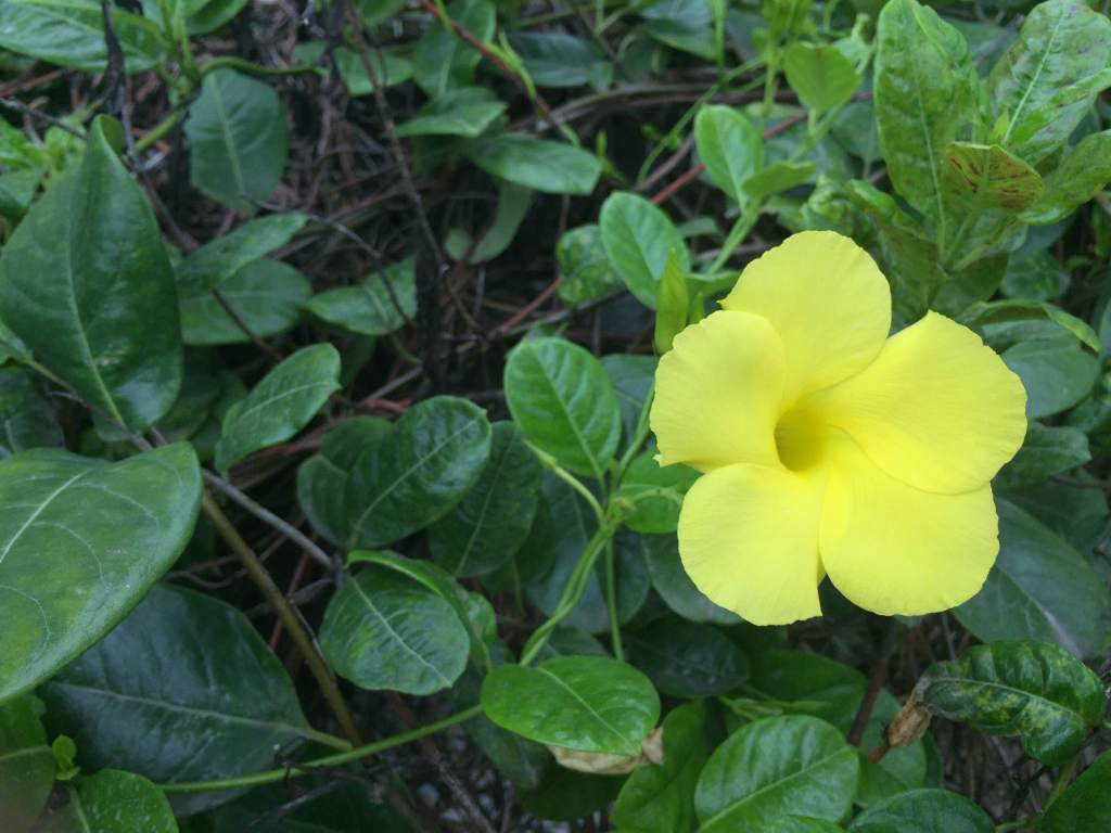 September favourites